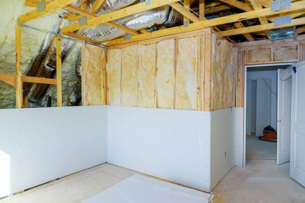 Best Spray Foam Insulation  in Lake Kiowa, TX
