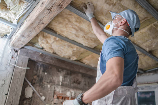 Best Best Insulation Companies  in Lake Kiowa, TX