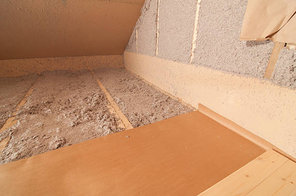 Best Garage Insulation Installation  in Lake Kiowa, TX